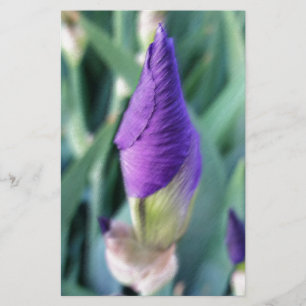 Papeterie bourgeon d'iris pourpre