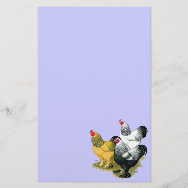 Papeterie Brahmas Three Roosters (Devant)