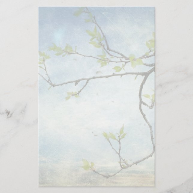 Papeterie Branche d'arbre au-dessus de ciel texturisé (Devant)