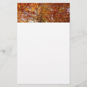 Papeterie Branches de feuilles orange Nature automnale