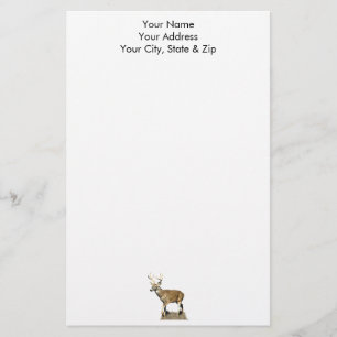 Papeterie Buck White Tailed