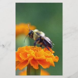 Papeterie Busy Bee