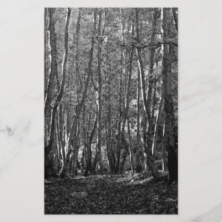 Papeterie BW Trees