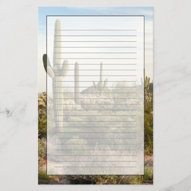 Papeterie Cactus de Saguaro, Arizona, Etats-Unis (Devant)