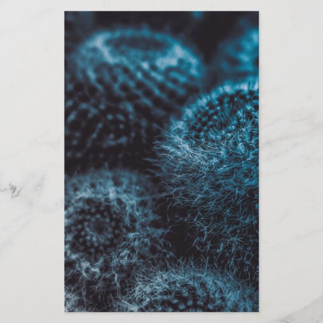 Papeterie Cactus foncé (Devant)