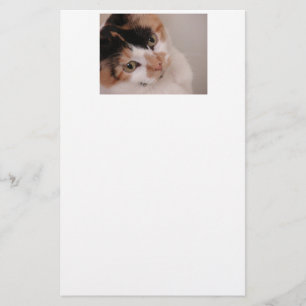 Papeterie Calico Beauty Chat