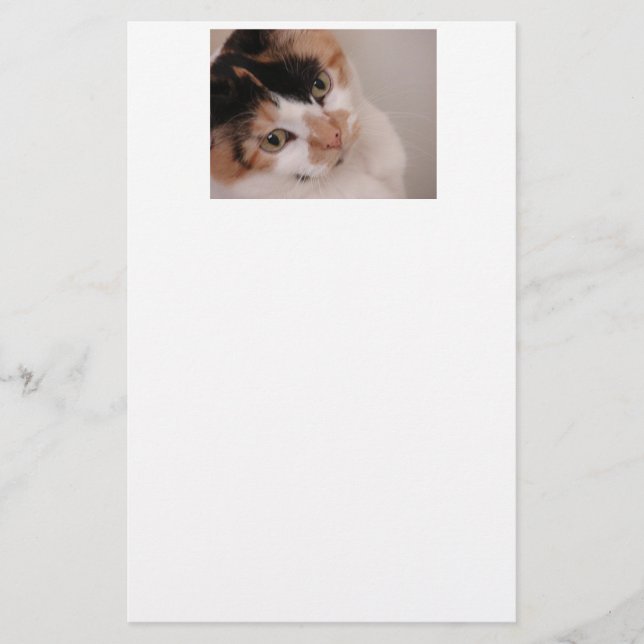 Papeterie Calico Beauty Chat (Devant)