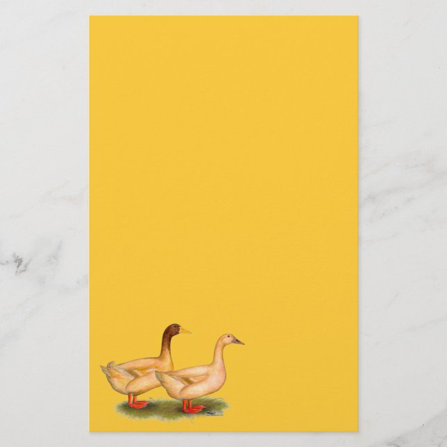Papeterie Canards : Buff Orpington (Devant)