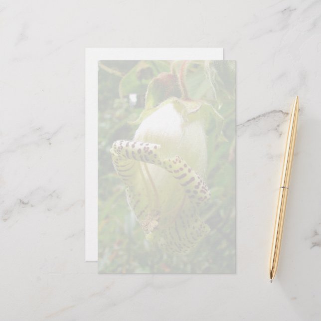 Papeterie Capanea Grandiflora (Devant/Arrière en situation)