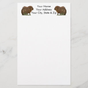 Papeterie Capybara