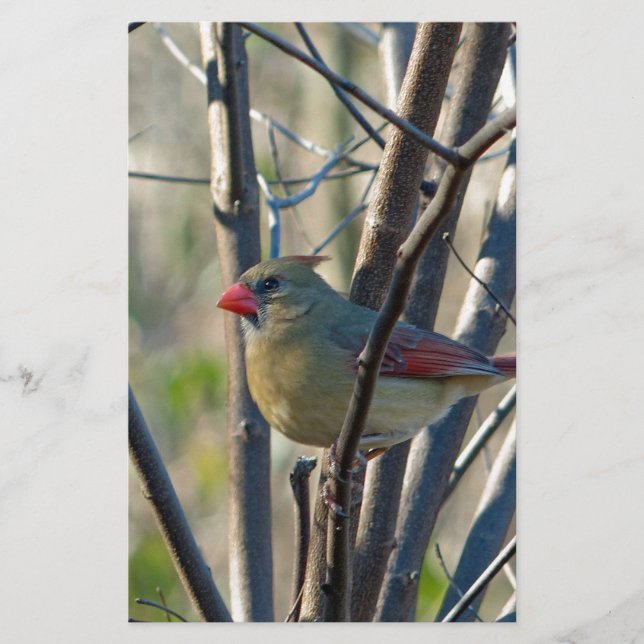 Papeterie Cardinal féminin (Devant)