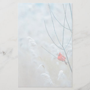 Papeterie Cardinal rouge en photo de nature hivernale de Noë
