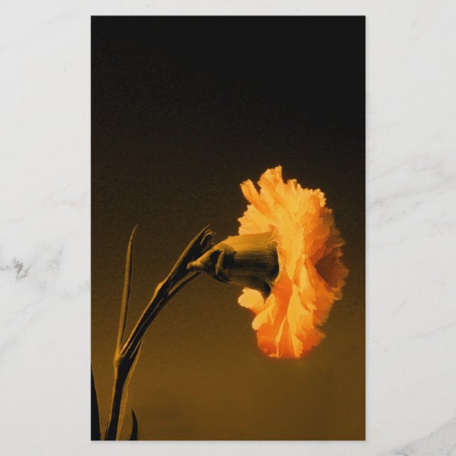 Papeterie Carnation (Devant)