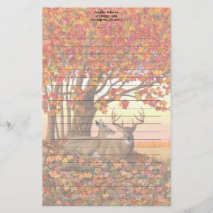 Papeterie Cerf blanc en automne Nouvelle-Angleterre Couleurs