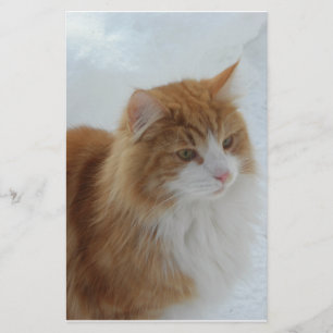 Papeterie Chat des Forêts Norvégiennes