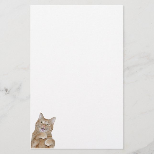 Papeterie Chat heureux (Devant)