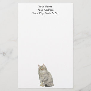 Papeterie Chat Longhair Tabby