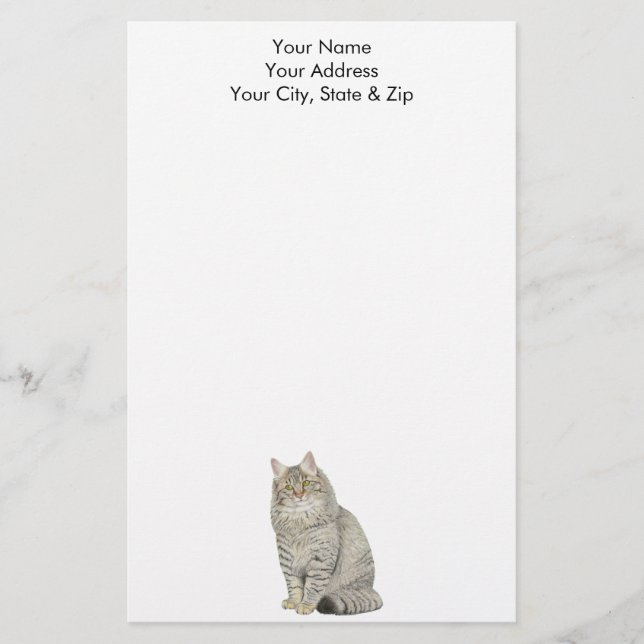Papeterie Chat Longhair Tabby (Devant)