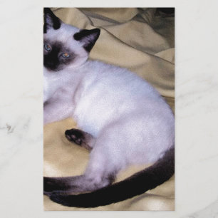 Papeterie Chat Siamese grès grès animal art animal animal an