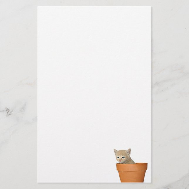 Papeterie Chaton de pot de fleurs (Devant)