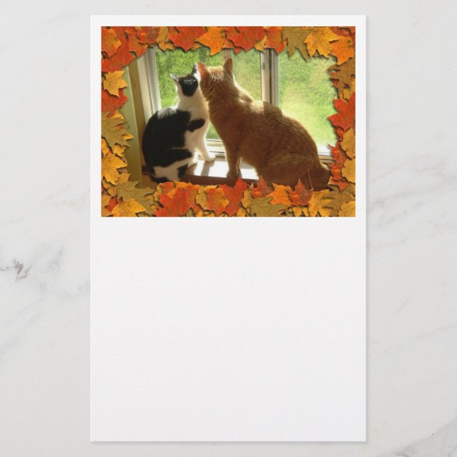 Papeterie Chats Tabby Orange d'automne (Devant)