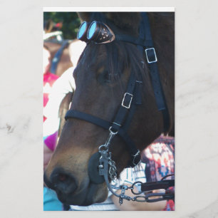 Papeterie Cheval arabe Brown foncé portant des lunettes