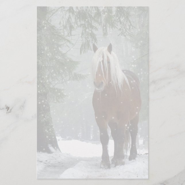 Papeterie Cheval Brown dans une forêt d'hiver avec chute de  (Devant)