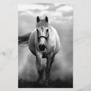 Papeterie Cheval courant noir blanc liberté