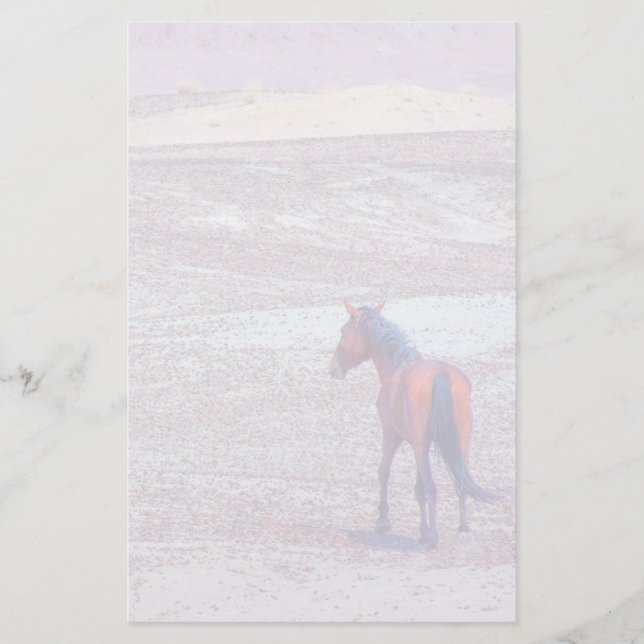 Papeterie Cheval du désert P8640 (Devant)