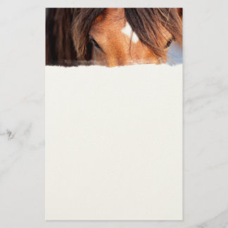 Papeterie Cheval Eyes