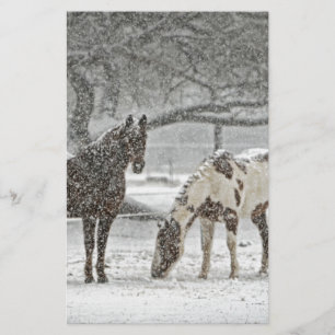 Papeterie cheval hiver neige ferme ranch animaux enneigés ge