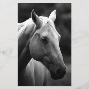 Papeterie Cheval Noir Blanc
