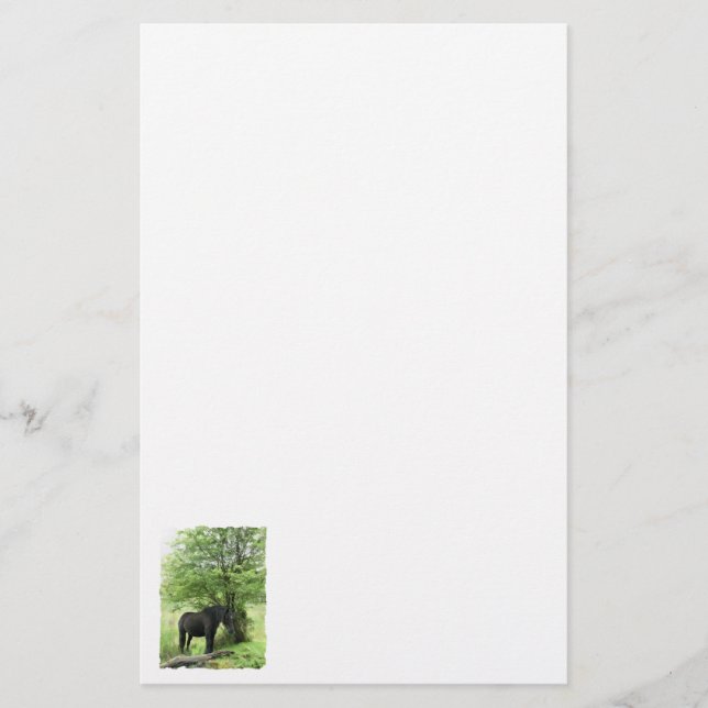 PAPETERIE CHEVAUX (Devant)