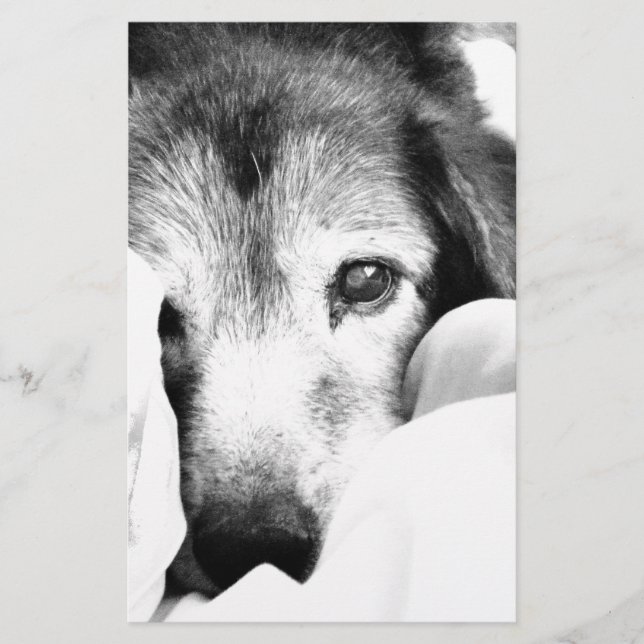 Papeterie chien mignonne sur le lit noir blanc (Devant)