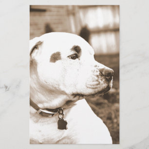 Papeterie chien pitbull couleur sépia haine non race