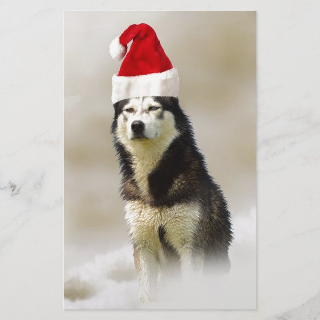 Papeterie Chien sibérien Husky avec chapeau de Santa Hat en  (Devant)