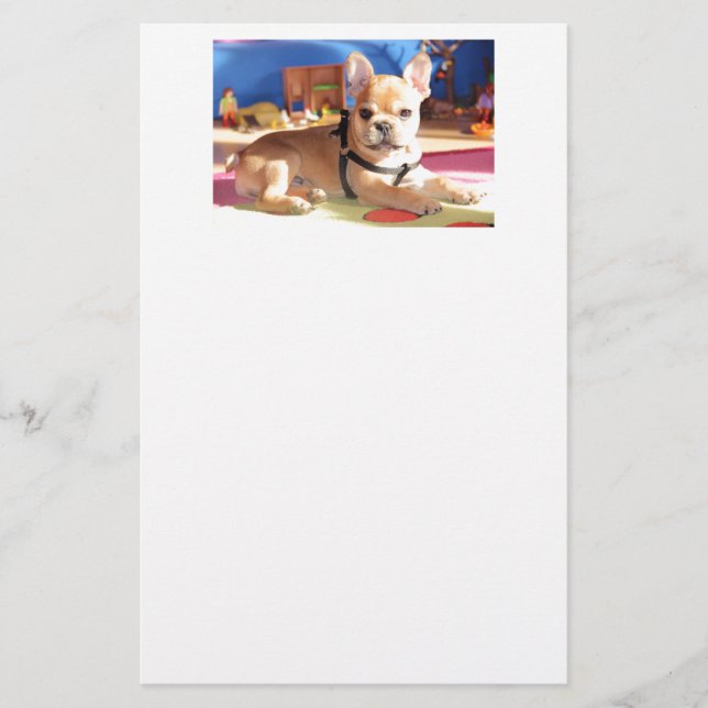 Papeterie chiot de bouledogue français mignon (Devant)