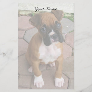 Papeterie Chiot de boxeur stationnaire