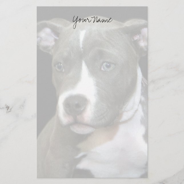 Papeterie Chiot de Pitbull stationnaire (Devant)