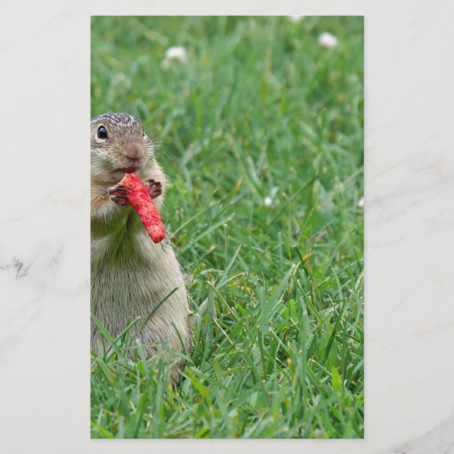 Papeterie Chipmunk.JPG (Devant)