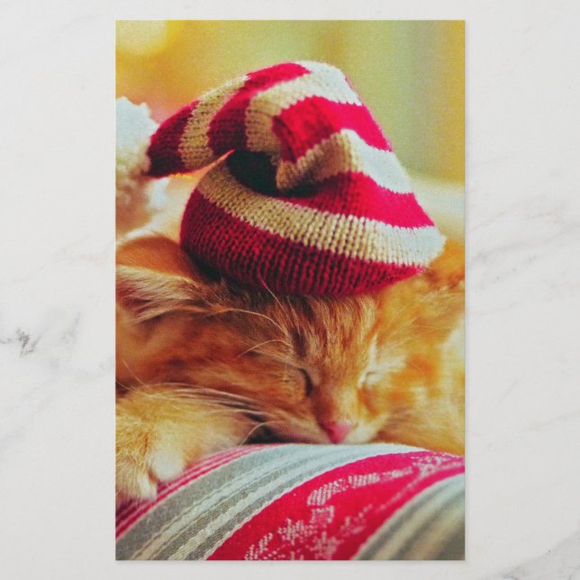 Papeterie Christmas Kitten (Devant)