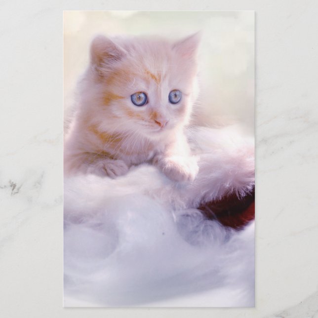 Papeterie Christmas Kitten (Devant)