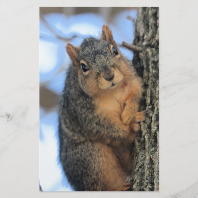 Papeterie Chubby (Devant)