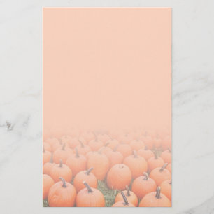 Papeterie Citrouilles