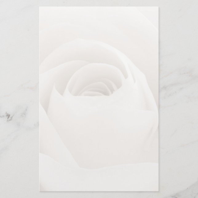 Papeterie Close up of White Rose (Devant)