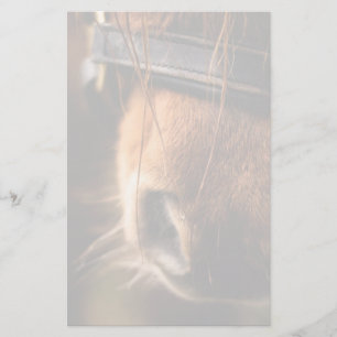 Papeterie Closeudo d'un mignon cheval Brown nez