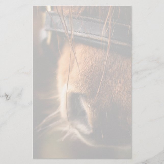 Papeterie Closeudo d'un mignon cheval Brown nez (Devant)