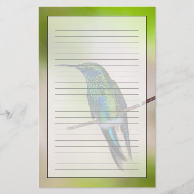 Papeterie Colibri vert de Violet-oreille (Devant)