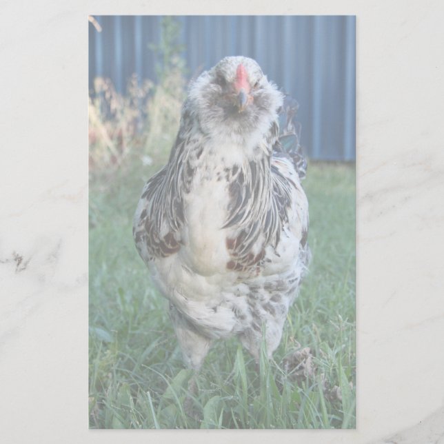 Papeterie Coq d'oeuf de Pâques (Devant)
