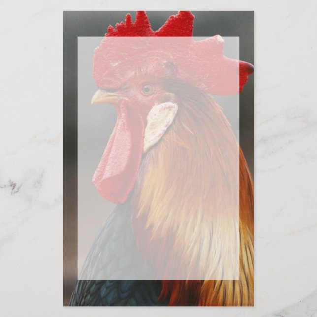 Papeterie Coq domestique de basse-cour (Devant)
